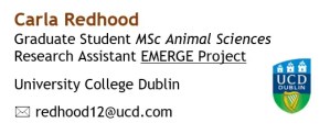 The best email signatures for graduate students (with examples ...